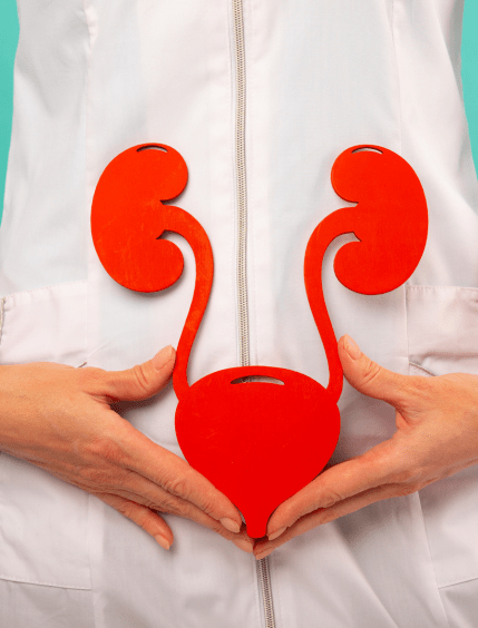 Untitled design - 2024-11-30T155155.340