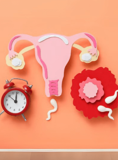 Cosmetic Gynecology (6)
