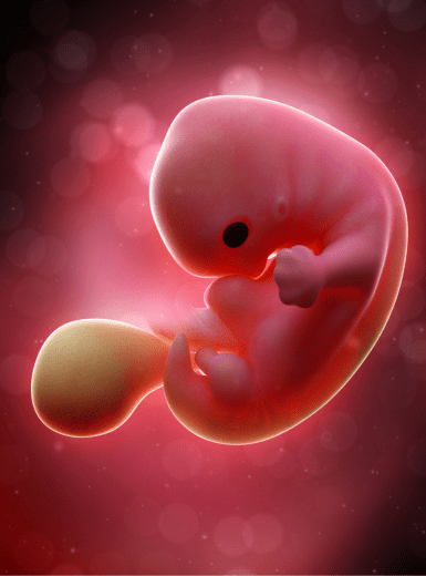 Cosmetic Gynecology (7)